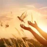 FreeBird1